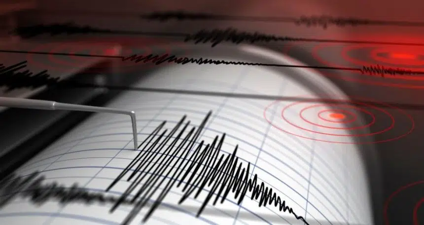 seismografos 980 0 1