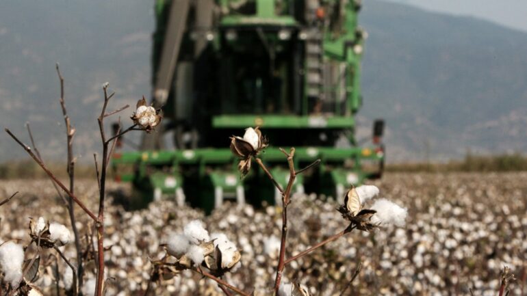 Νέα στρατηγική για το ελληνικό βαμβάκι έως το 2031