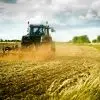 agrotes