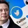 twitter elonmask