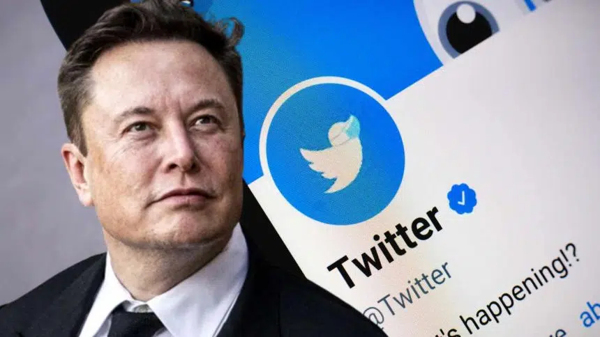 twitter elonmask