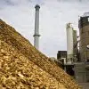 B2Green Biomass Biomass1