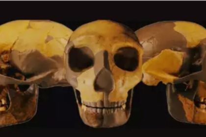 Ancient Skull Unearthed In China 64d37ef930a9e 768x403 1