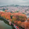 ioannina