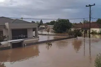 karditsa stelnoyn elikoptera ghia tin apomakrinsi eghklovismenon