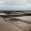 plimmira karditsa 4